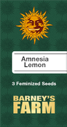 Amnesia Lemon Fem