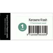 Kerosene Krash Fem