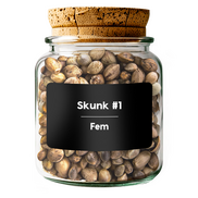 SKUNK #1 Fem