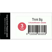 Think Big AutoFem