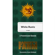 White Runtz Fem